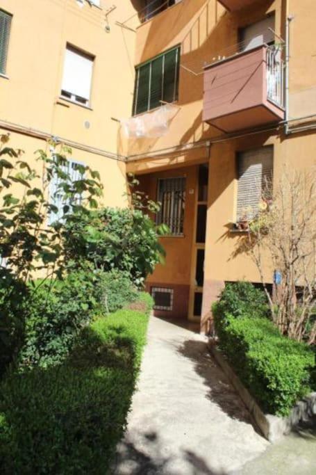 Treviso 6 - Venere